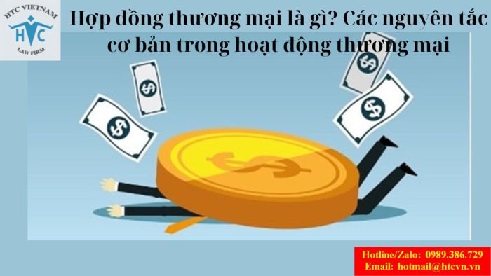 Hợp đồng thương mại là gì? Các nguyên tắc cơ bản trong hoạt động thương mại